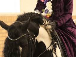IMG_5419_web